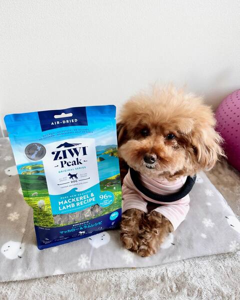 ZIWI 犬用 ジウィピーク ビーフレシピ 4kg ZIWI 犬用 ジウィピーク