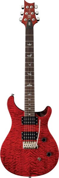 PRS SE Custom 24 25th anniversary Guitar