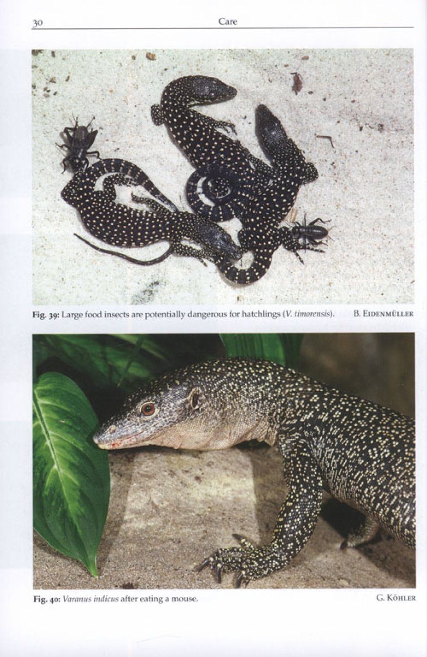 洋書 Monitor Lizards 自然史と飼育 The Natural History of Monitor