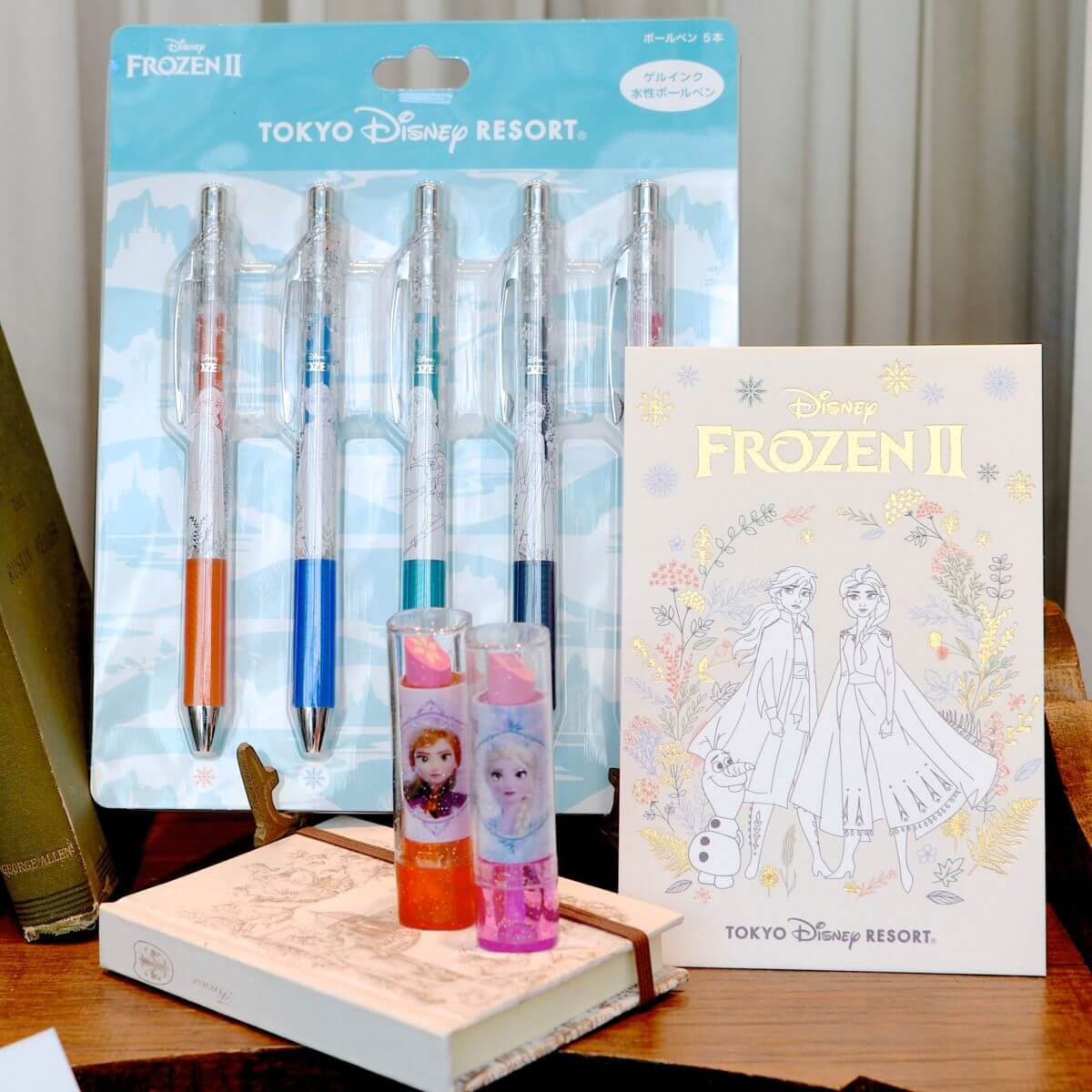 落ち着いた可愛さの線画風！東京ディズニーランド『アナと雪の女王2