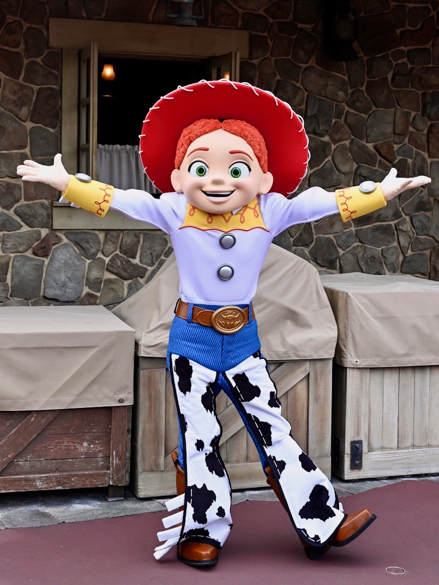 ディズニーリゾートトイストーリー ジェシー 帽子 ディズニーリゾート