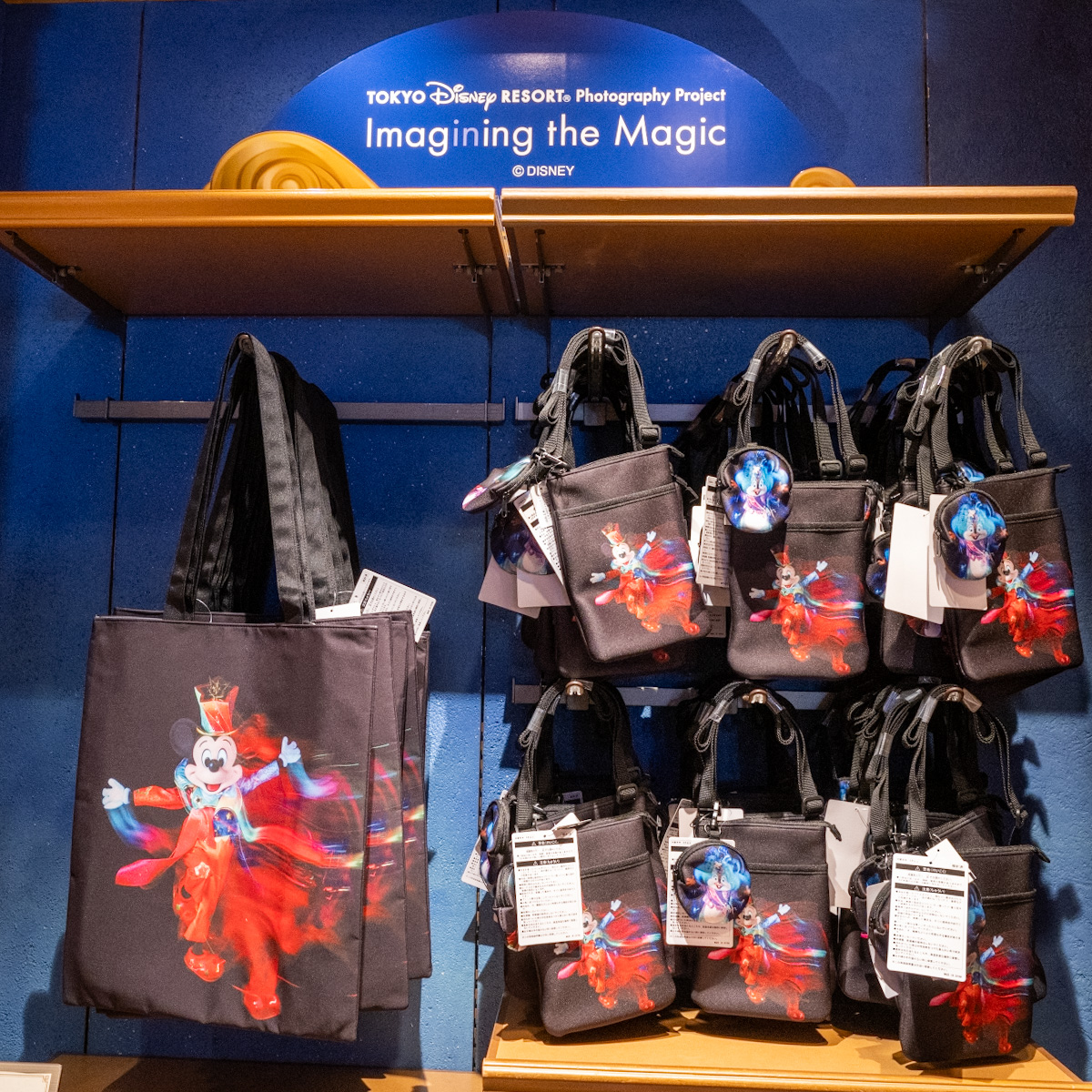 奥山由之さん撮り下ろし！東京ディズニーリゾート・フォトグラフィー