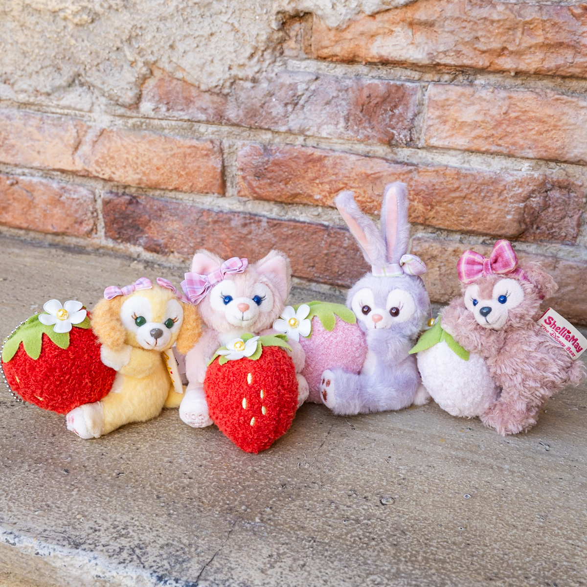 ♡ハートフェルトストロベリー♡ぬいぐるみバッヂ♡2024年♡タグ、値札