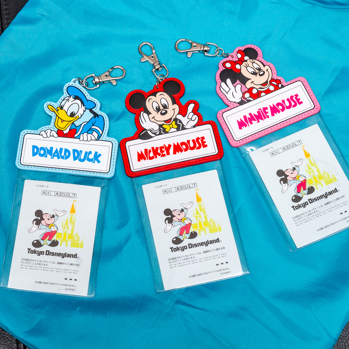 ミッキー、ミニー、ドナルドデザイン！東京ディズニーランド