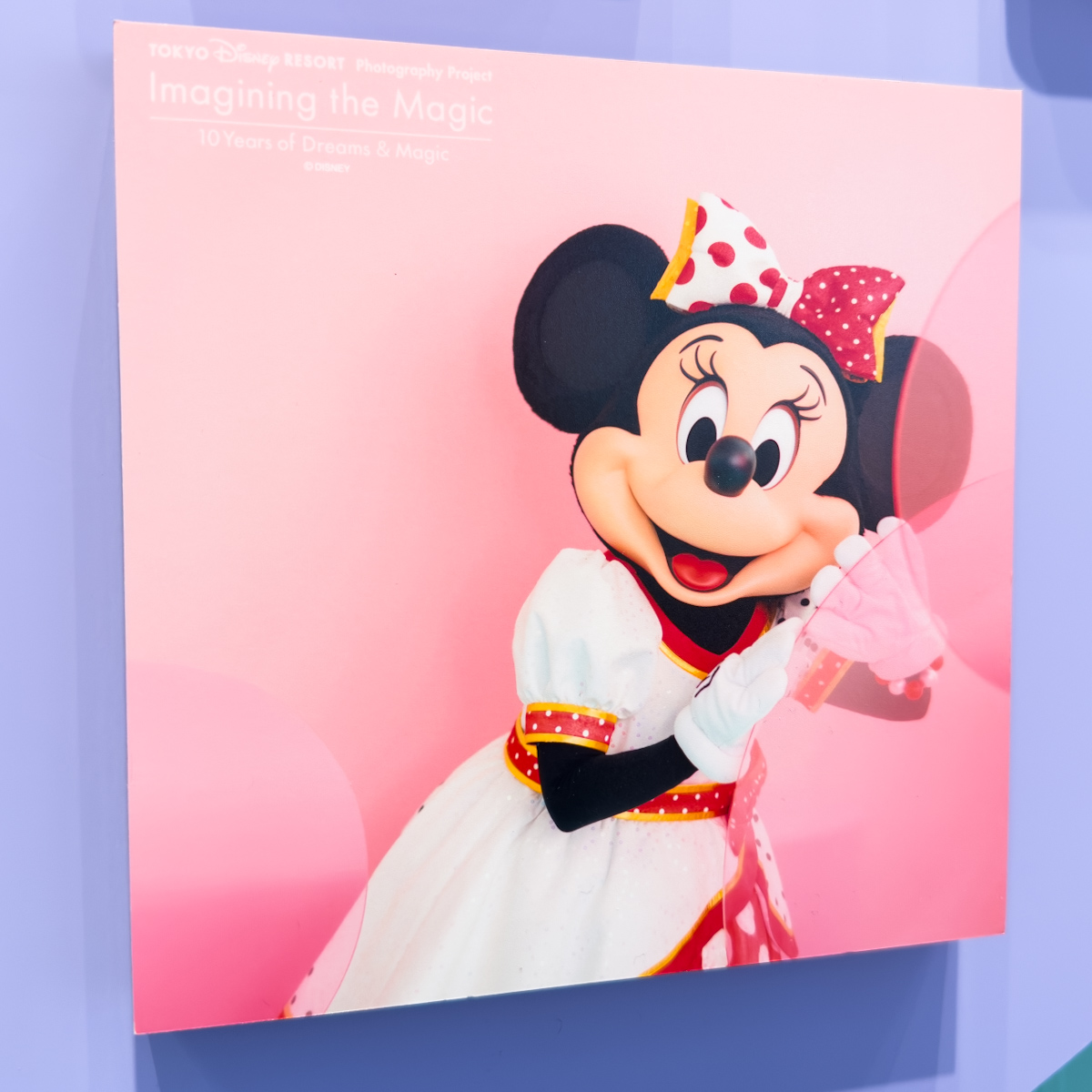 第1弾！東京ディズニーリゾート・フォトグラフィープロジェクト