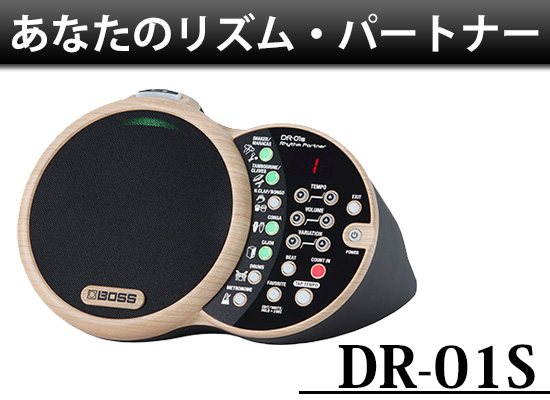 BOSS】収録楽器多数！気軽にセッションが楽しめるリズムマシン DR-01S