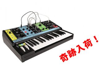 moog_grandmotherキャッチ2-