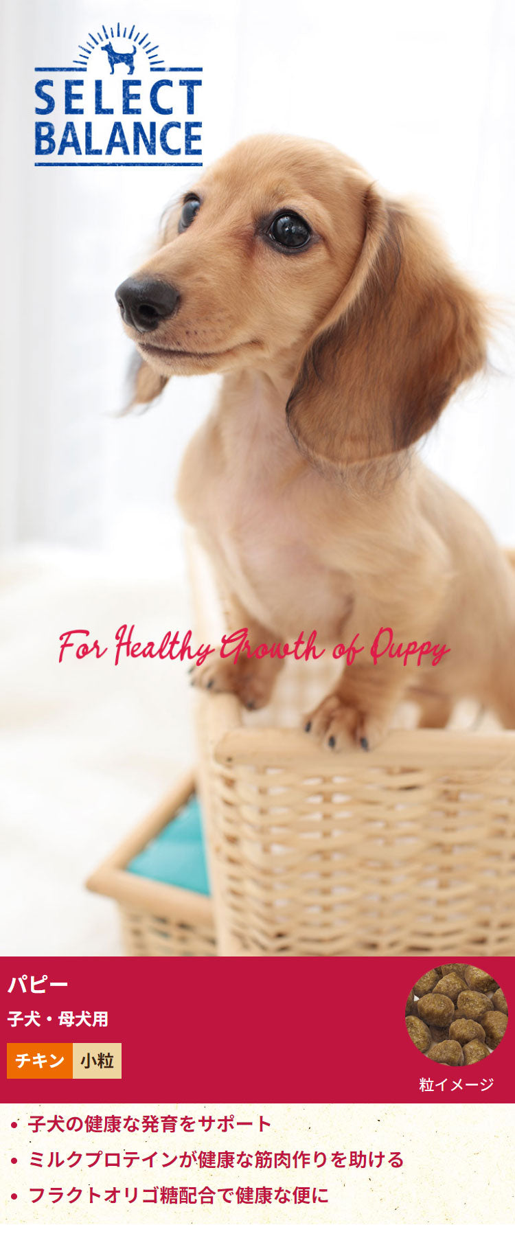 セレクトバランス パピー チキン 小粒 子犬・母犬用 7kg SELECT