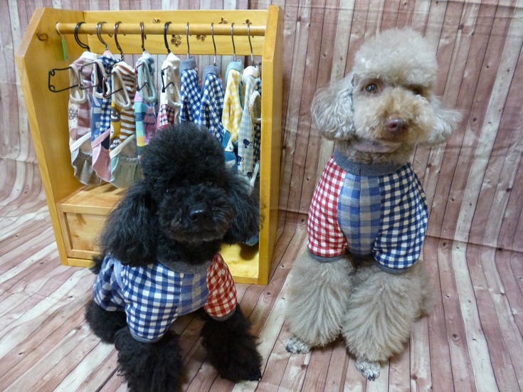 perrito perrazo | 湊川公園手しごと市 | 毎月第4土曜日に神戸の湊川