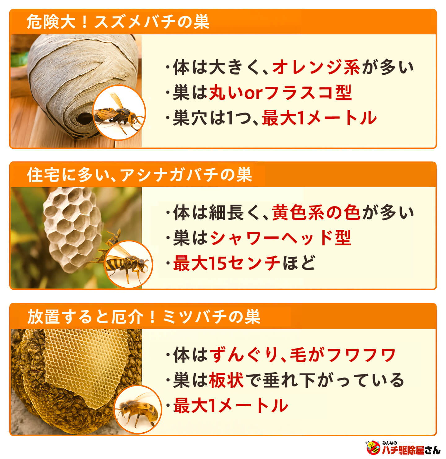 スズメバチの巣【種類別の写真一覧】自宅にできた巣の見分け方と危険性