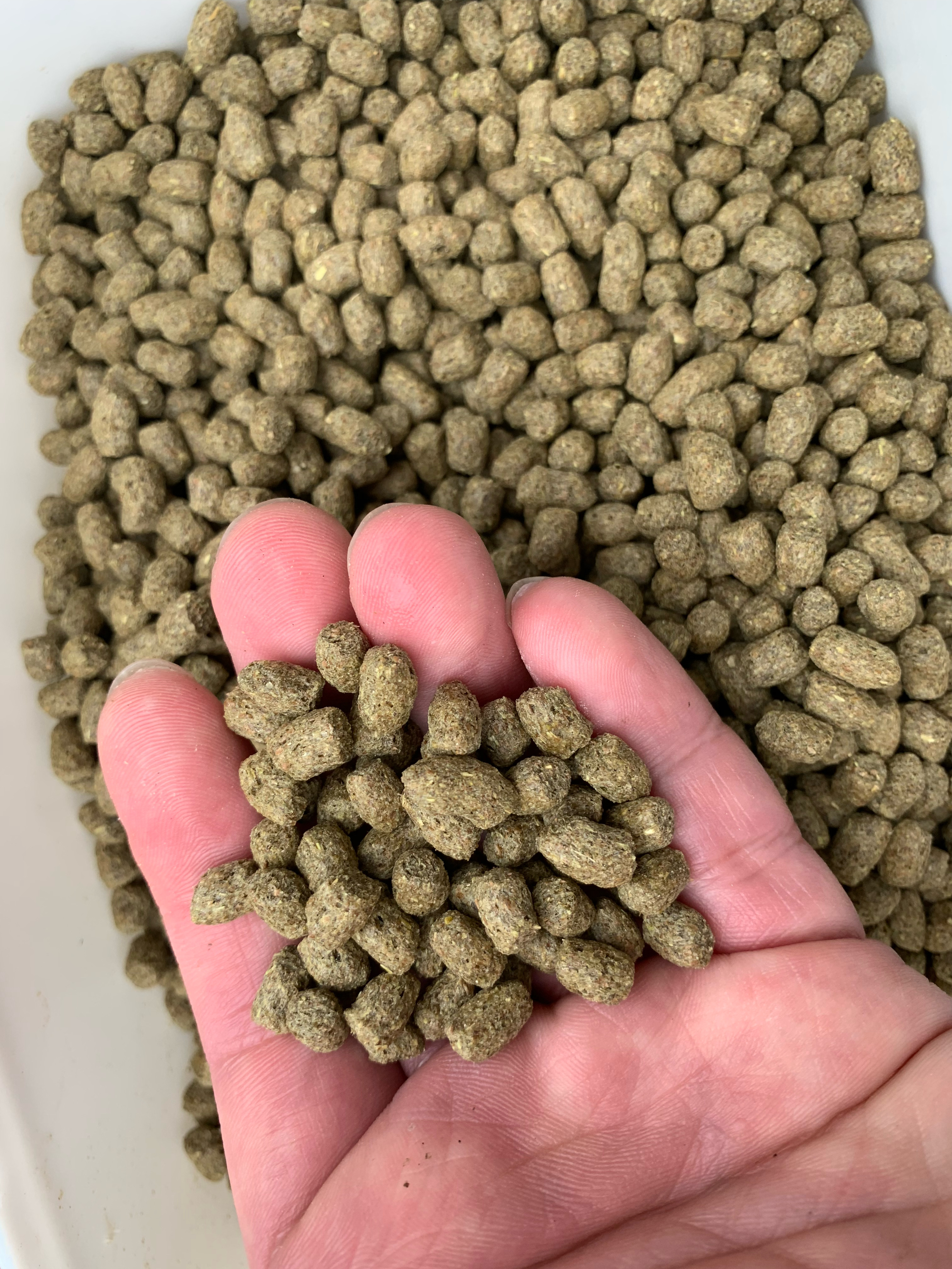 MINORITY ONLINE STORE / カモ用飼料 BC-6オリエンタル酵母 13kg※合計