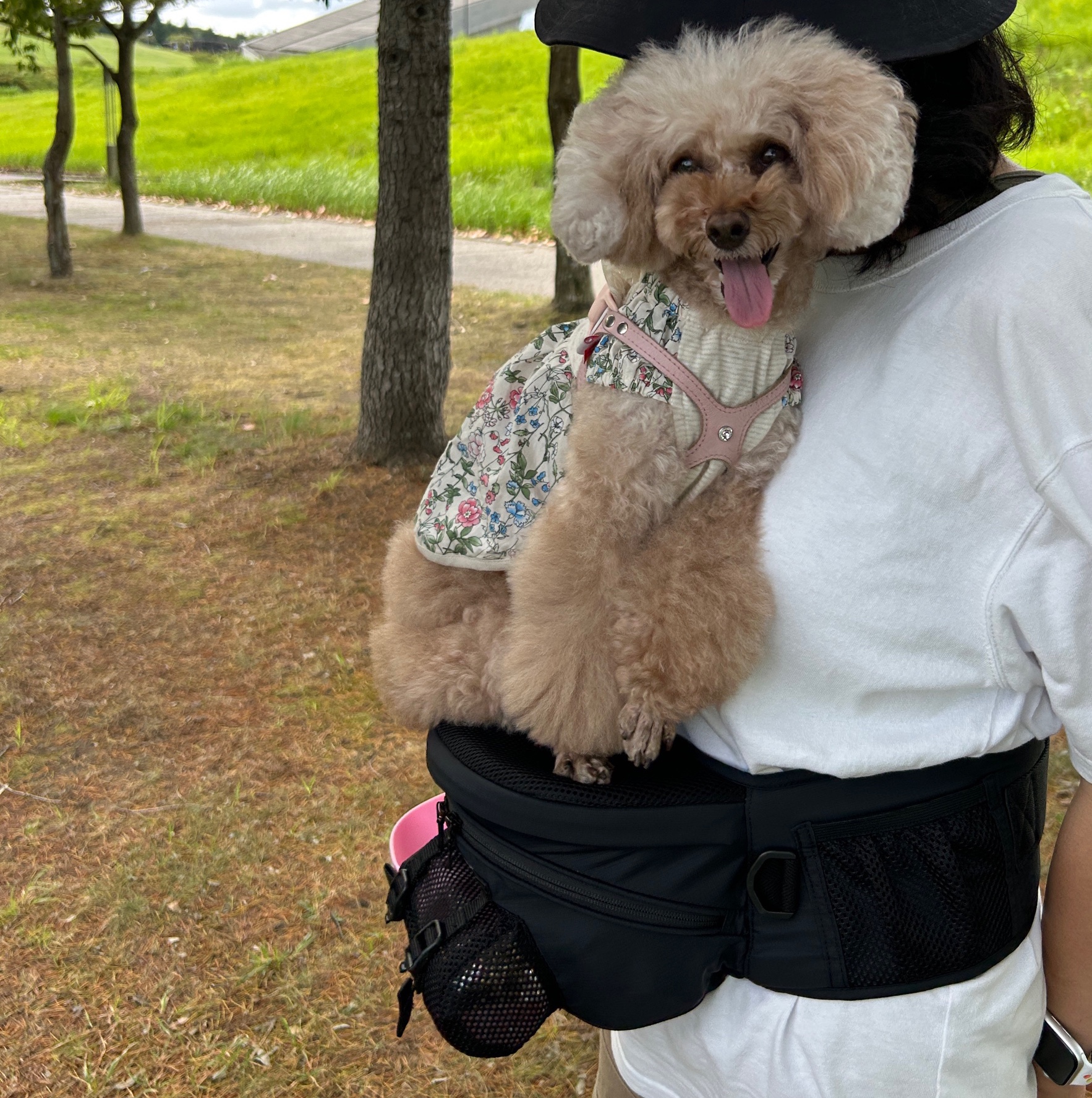 Nu-i Dog Carrier ヌーイ ドッグキャリア 黒 ショルダー付き Dog