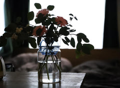 faz-003-01_mv1_medium.jpg?v=