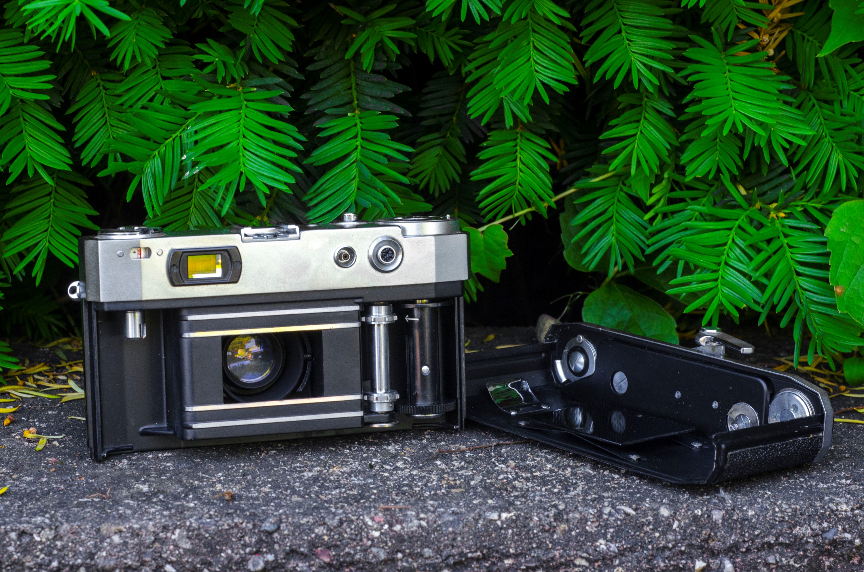 RICOH 519 FiveOneNine【撮影可能/実用品】 RICOH 519 FiveOneNine