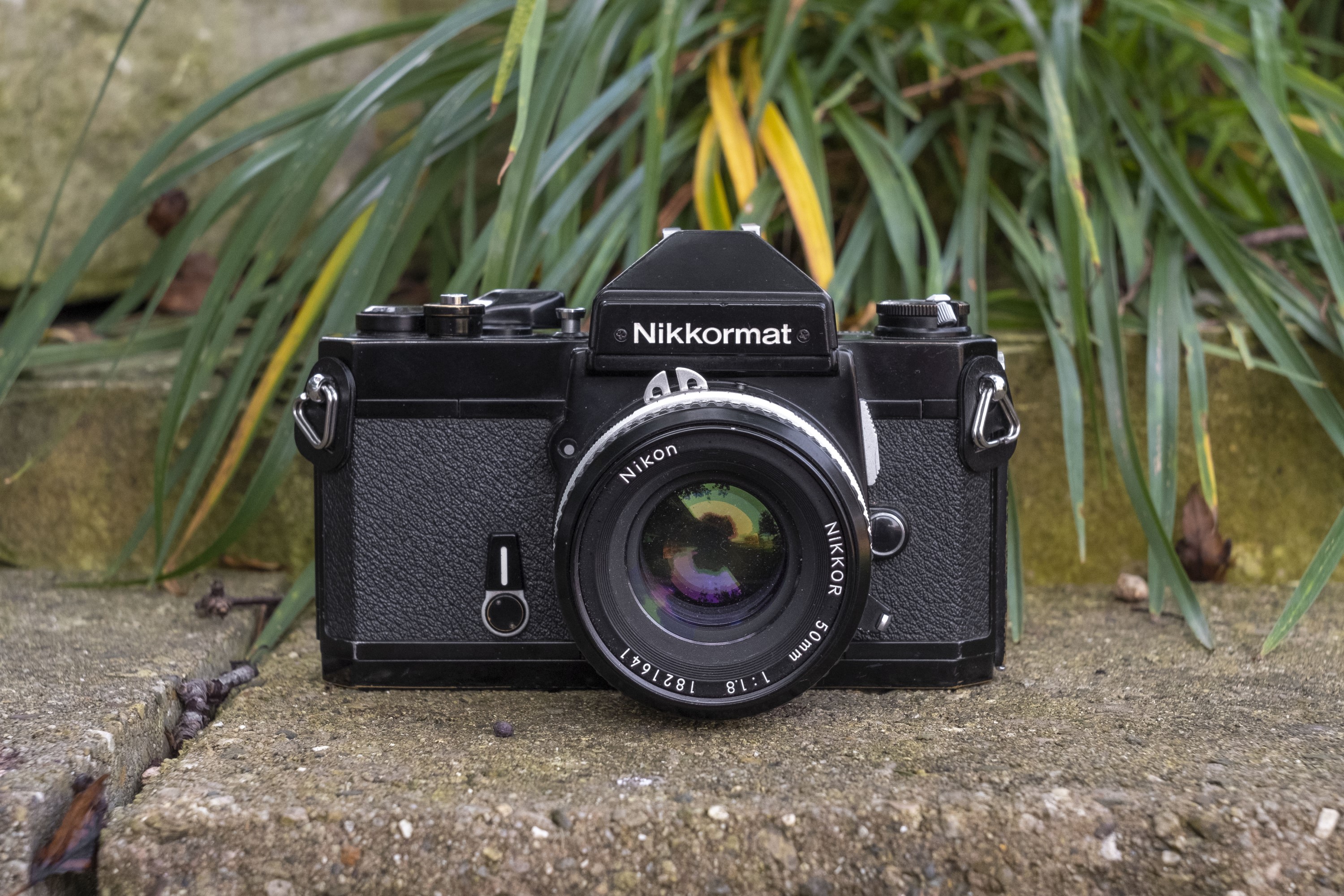 ◇ Nikon ニコン Nikomat FT3 + AI NIKKOR 50mm F1.4 フィルムカメラ