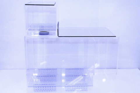 45×30×30(H)オーバーフローろ過槽セット - 熱帯魚のmishima