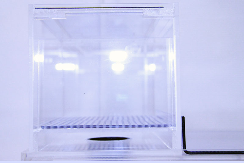 25×15×15ウールボックス - 熱帯魚のmishima