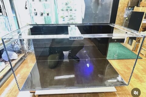 アクリル水槽 二面黒 W1200 D600 H450 ワンオフ 佐川急便発送 アクリル