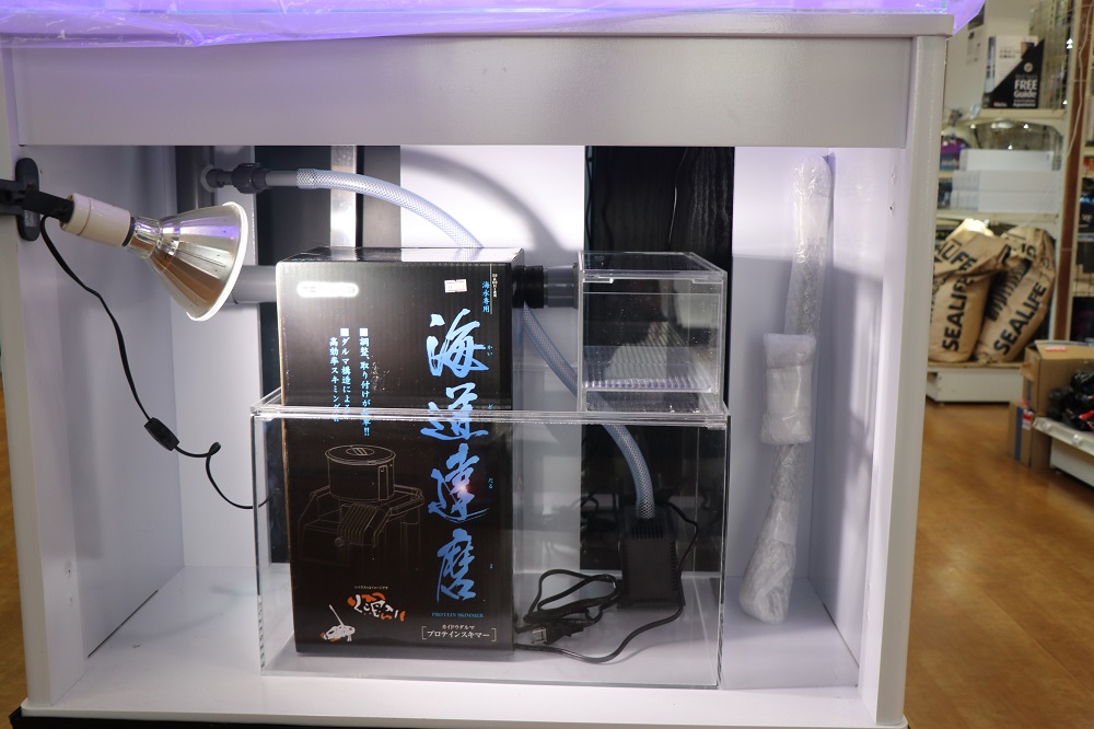 90×45×45アクリル製海水オーバーフローセット - 熱帯魚のmishima