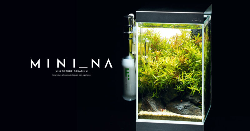 ADAキューブガーデン 60センチ水槽セット 大阪市引き取り限定