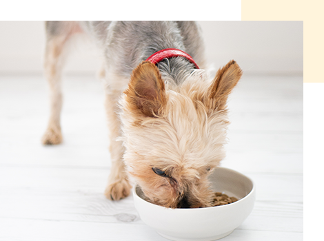 MISHONE - ミシュワン-】公式サイト