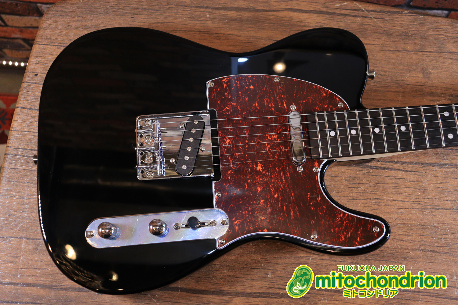 新品】LEGEND LTE-Z-TT / BLACK(Tortoise Pickguard) - 博多区麦野の