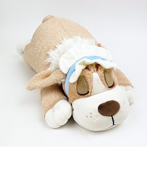 ディズニーピーターパン銀製コイン36g