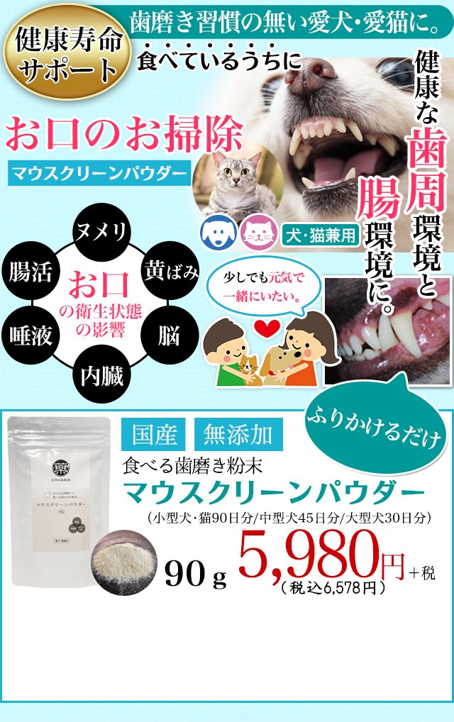 犬や猫の虫歯、歯周（歯垢・歯石）対策、歯磨き（歯みがき）、口腔環境