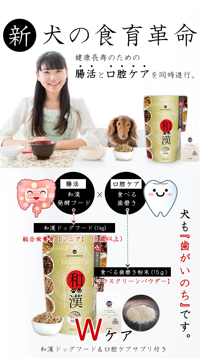 和漢みらいのドックフード 総合栄養食シニア3袋 和漢みらいの