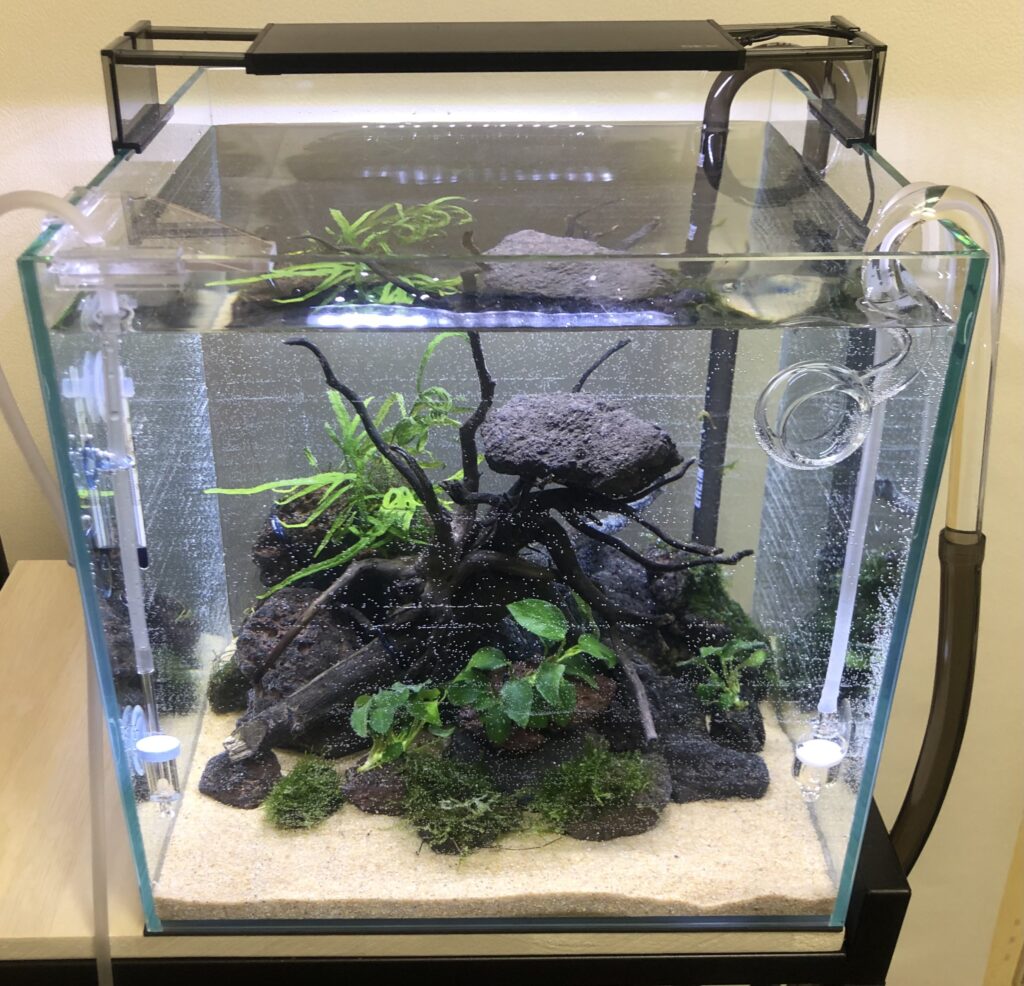 リリィパイプ・スピンタイプを30cmキューブ水槽用に購入してみた