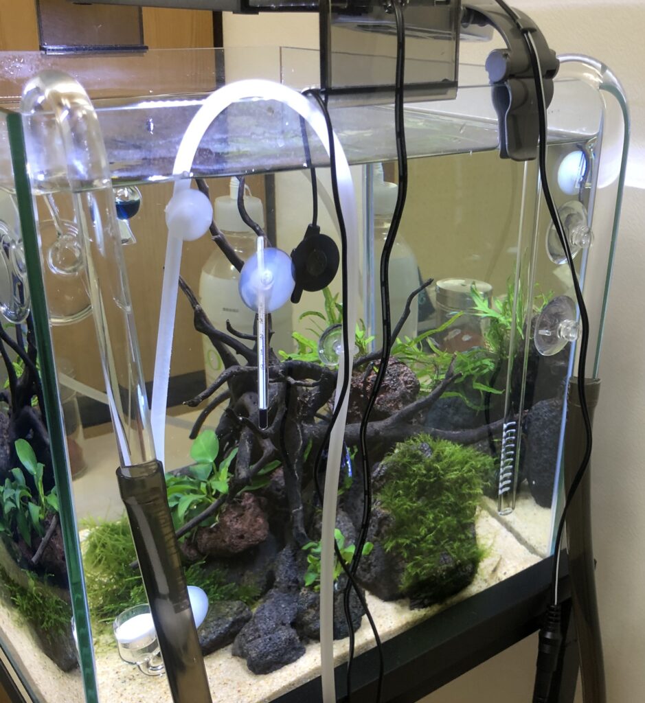 リリィパイプ・スピンタイプを30cmキューブ水槽用に購入してみた