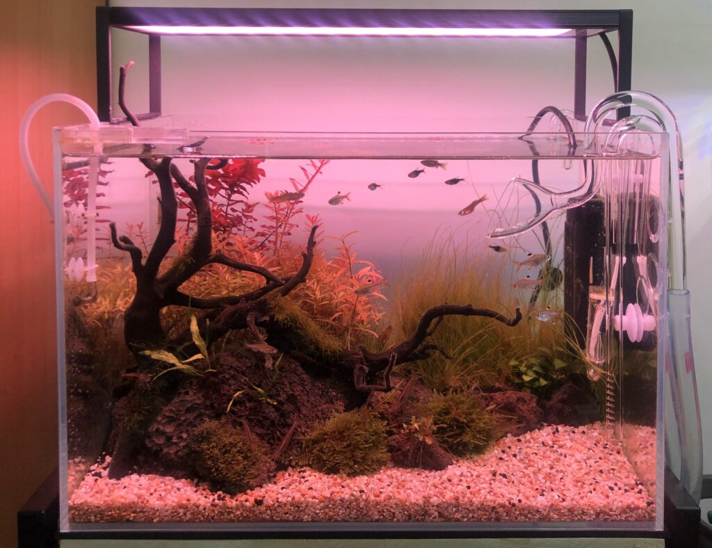 次世代の高性能LED照明”chihiros WRGBⅡ slim”をレビューします【驚き