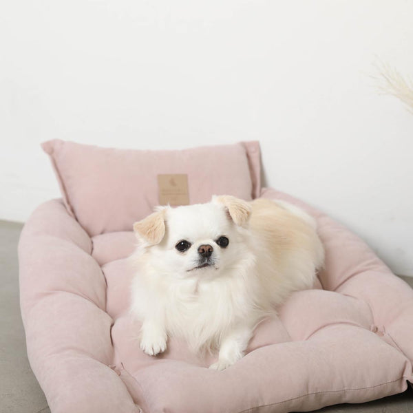 インテリア ・雑貨 | ドッグウェア・犬服通販 - monchéri(モンシェリ