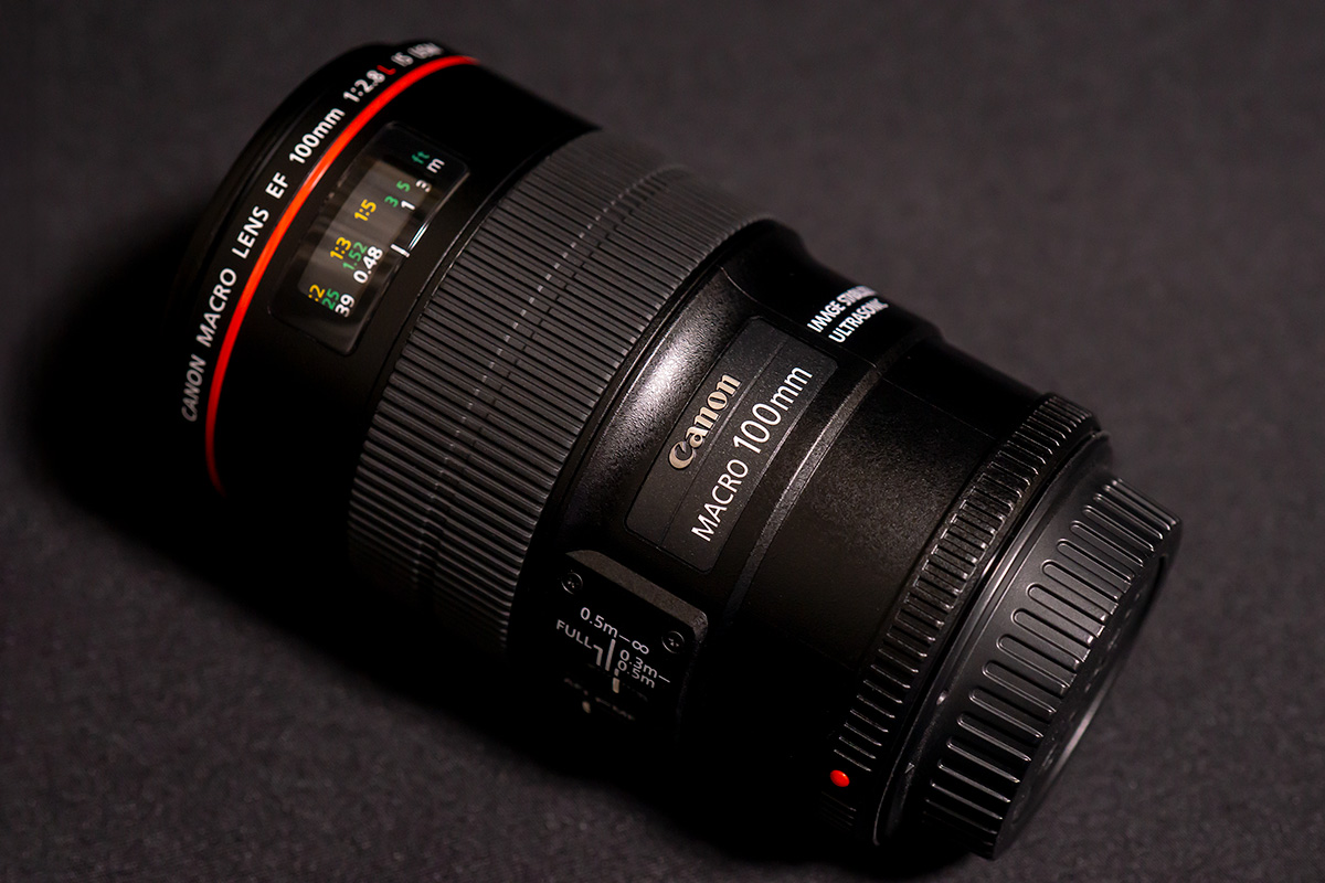 超特価キヤノンEF100mm F2.8 Macro超美品早い者勝ち CANON EF100mm F2