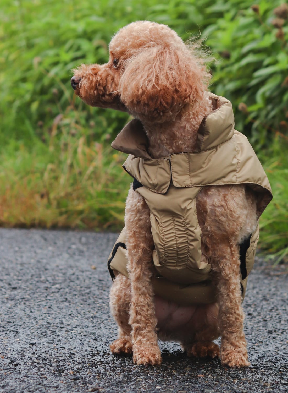 DOG DOWN JACKET - MOONLOID EXCLUSIVE|別注 ドッグダウンジャケット