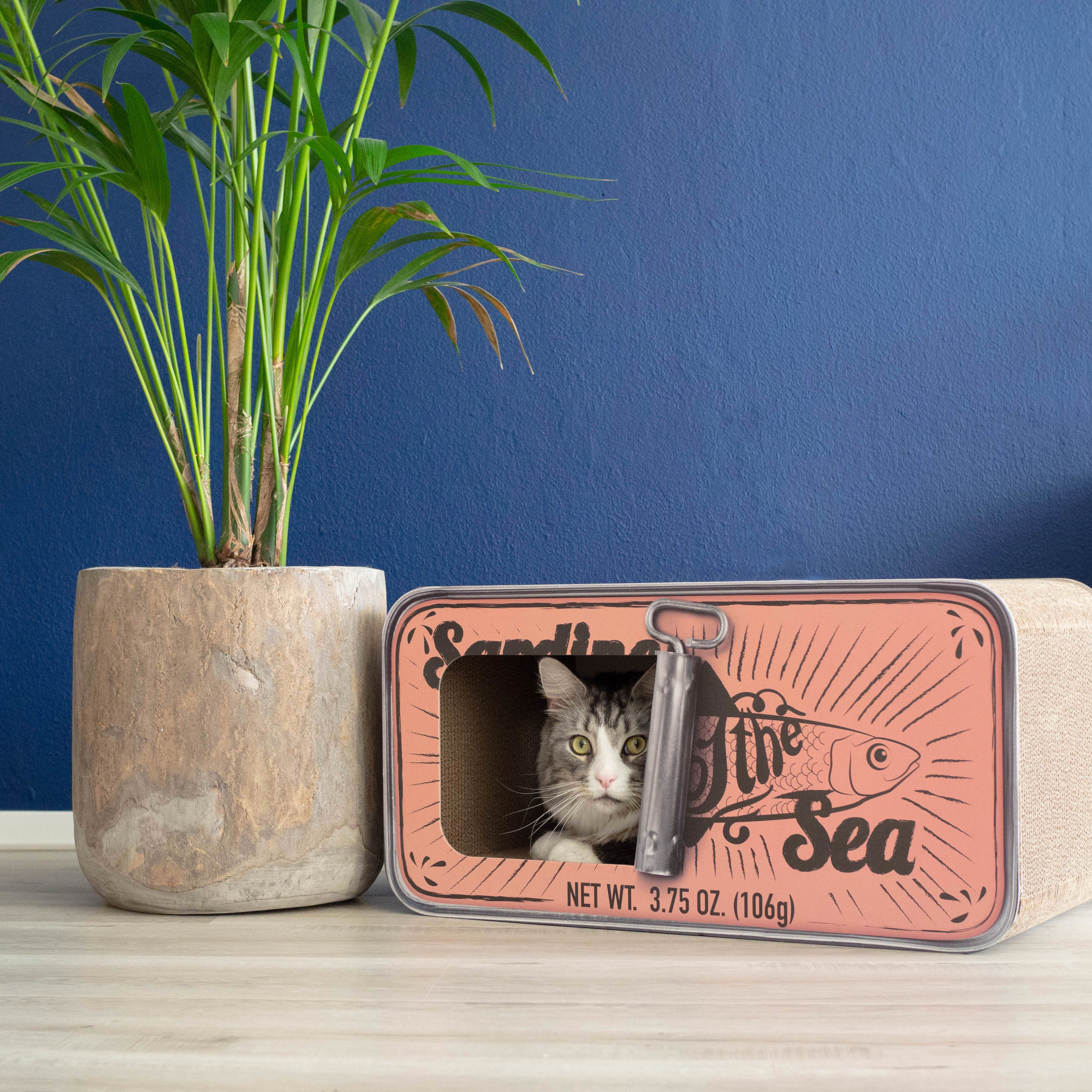 District70 11.8-in x 23.6-in Pink Cat Scratching Post at Lowes.com