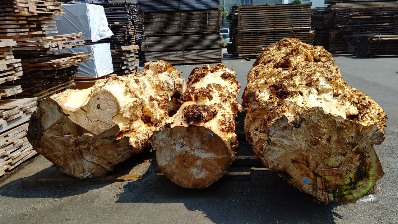 コブ杢入りの“ポプラ”を製材。その他、色々な国産材をキャビネットや