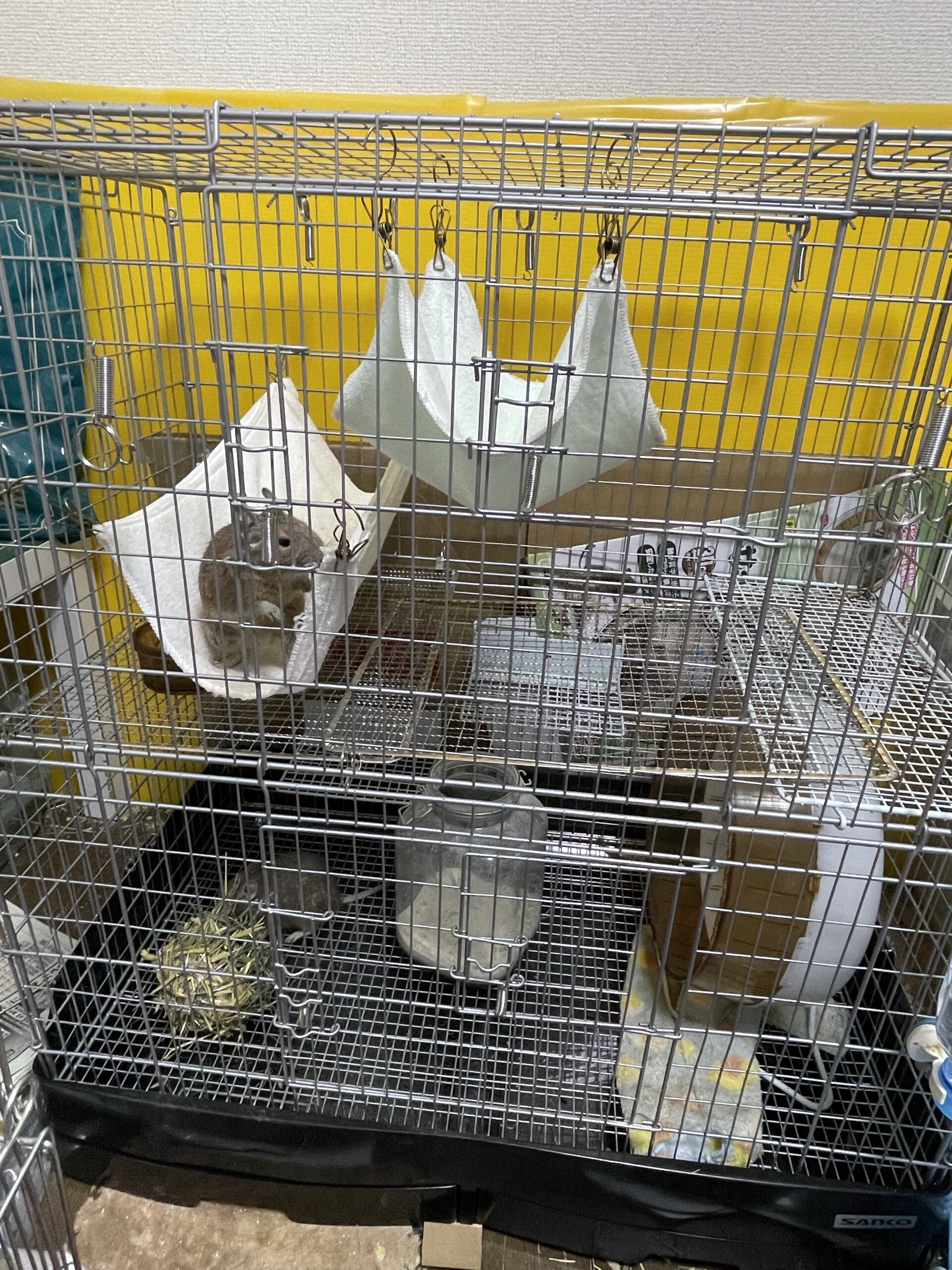 イージーホーム R37 HIGH デグー モモンガ ハイケージ ゲージ 三晃商会