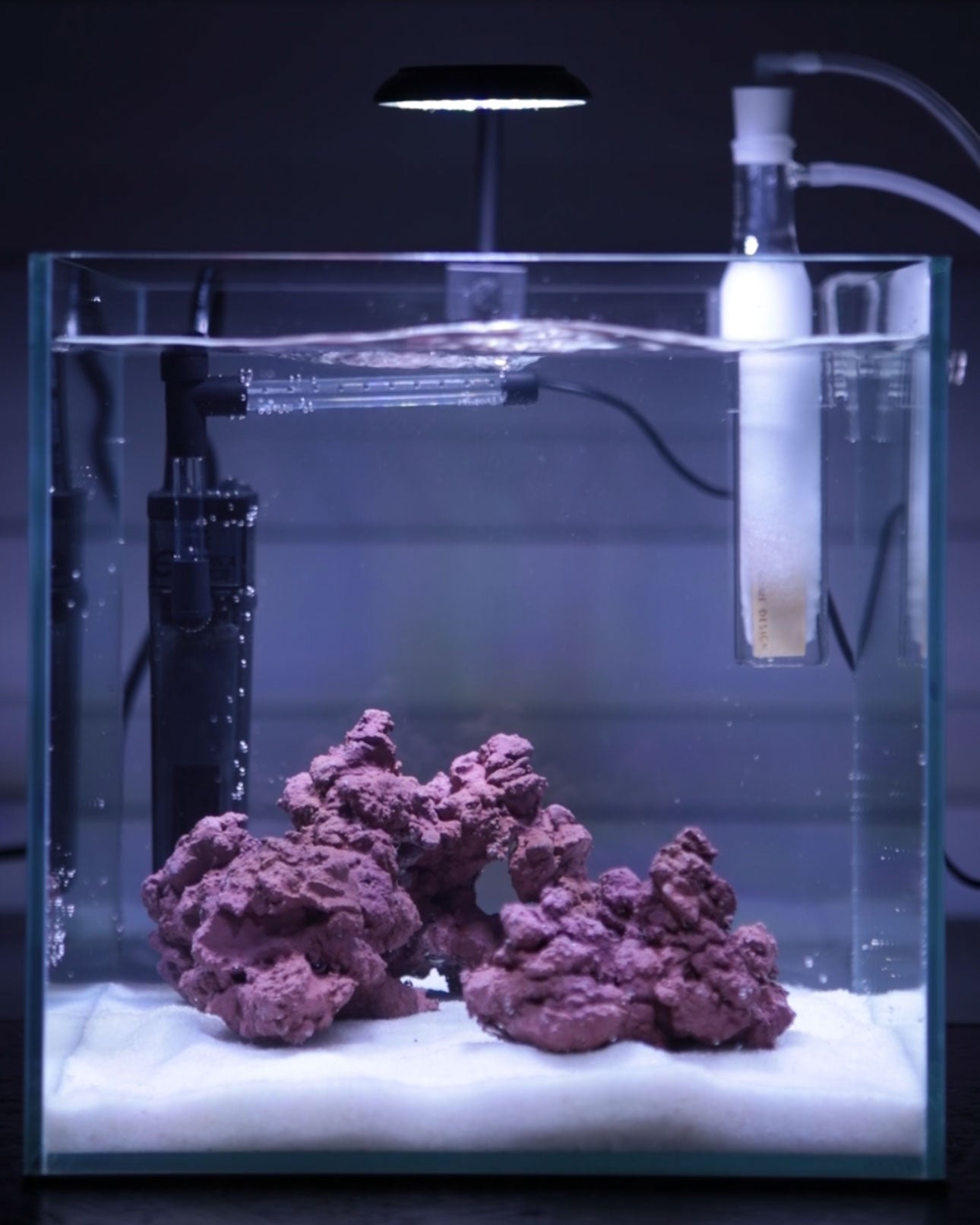 マメデザイン】マメスキマー3 ミニ – MOTOBU AQUARIUM