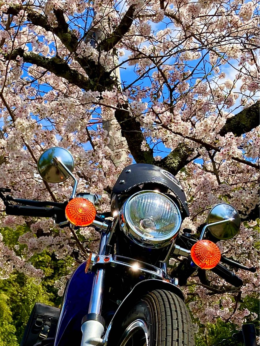 投稿詳細｜MOTOCLE