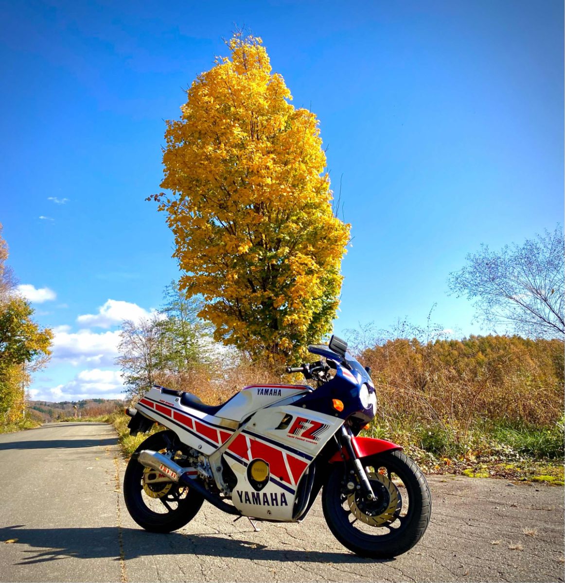 YAMAHA 1982年製 SS-300 FR YAMAHA 1982年製 SS-300 FR