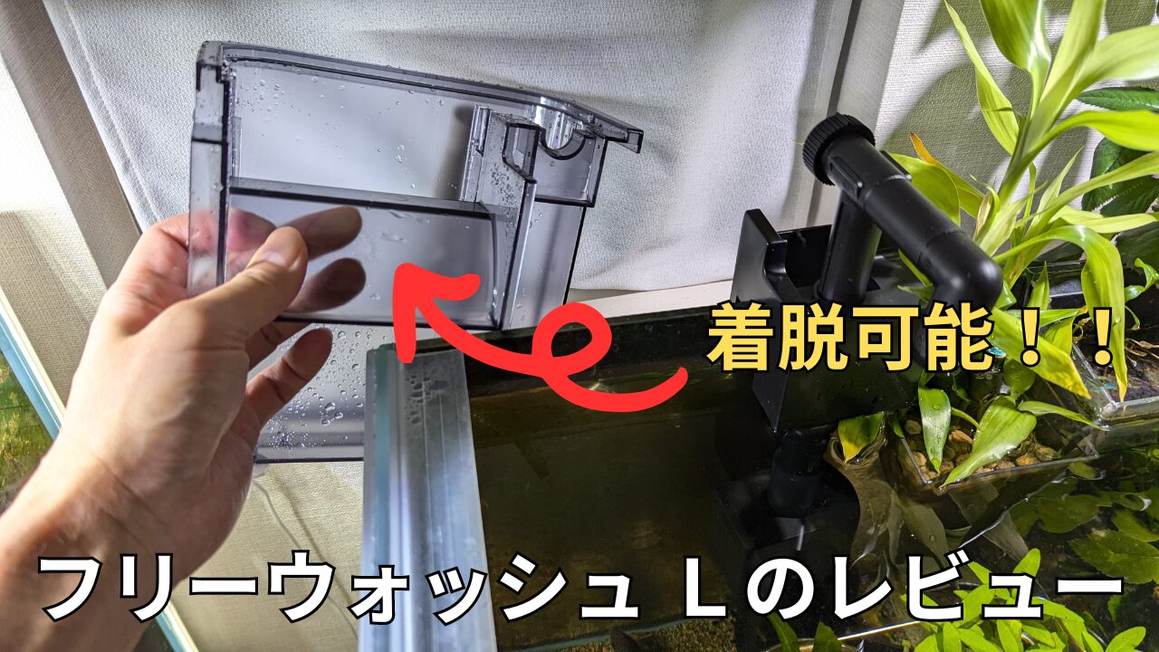 フリーウォッシュ L】お掃除簡単、テトラの新型外掛けフィルターをレビュー