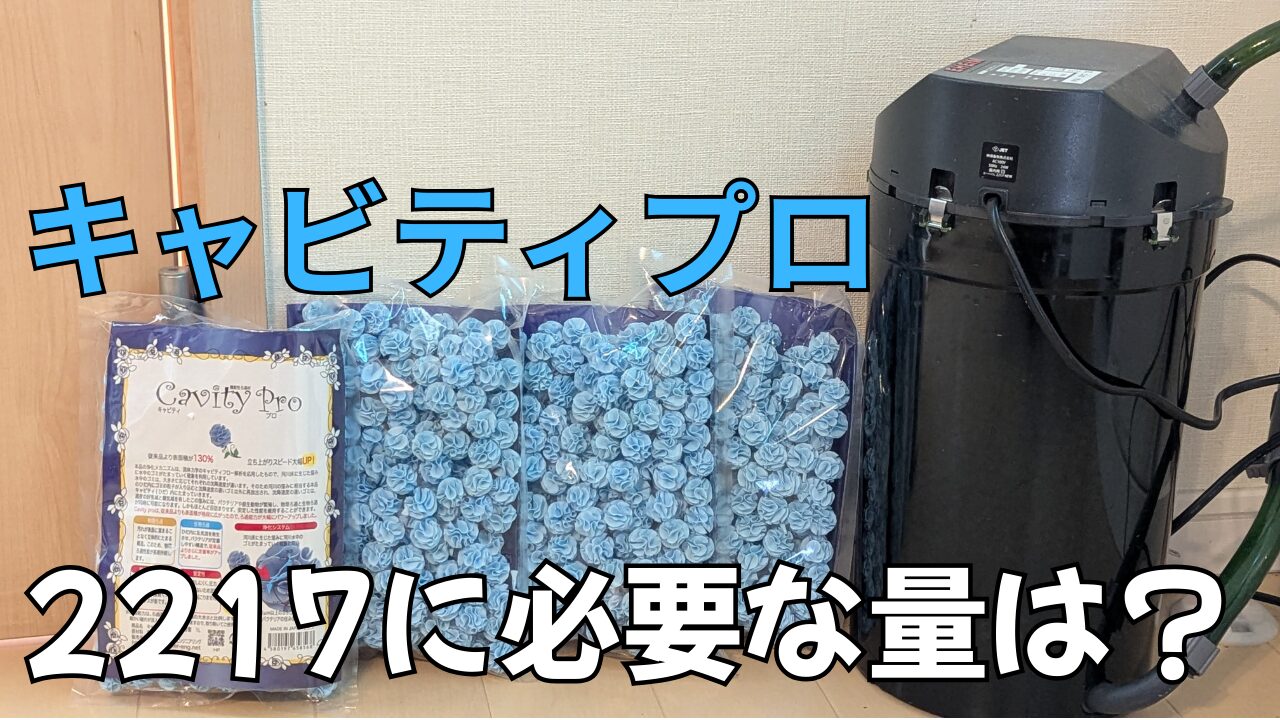エーハイム 2217をキャビティプロで埋め尽くすのに必要な量は？【水槽