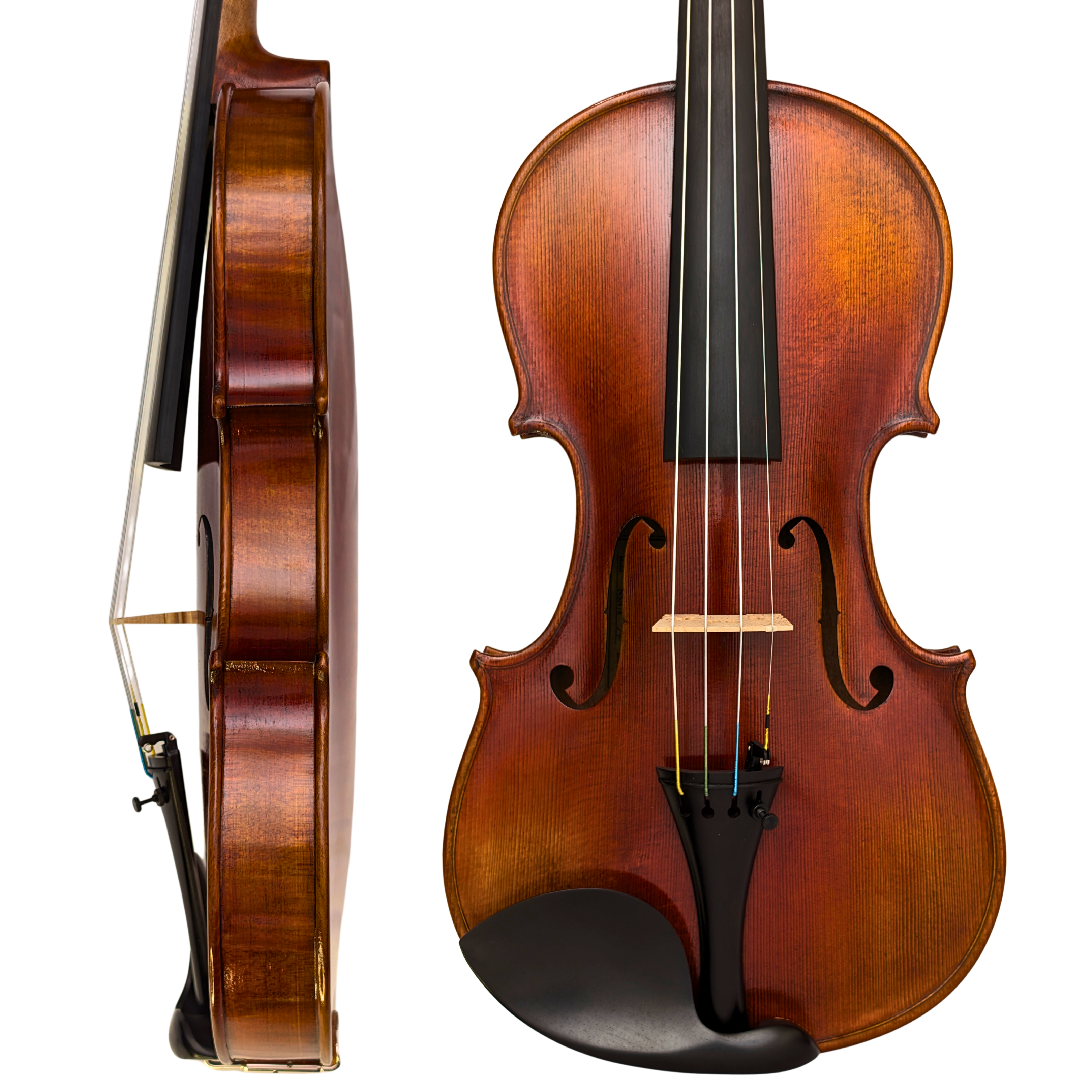 ヴァイオリン本体】ニコロ・サンティ NSN78/S1 – 杜音バイオリン