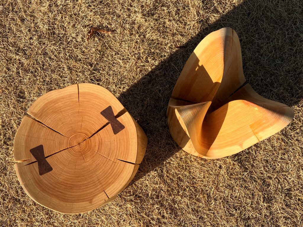 商品開発事例】JAPAN WOOD DESIGN AWARD 2024を受賞しました - もりまち