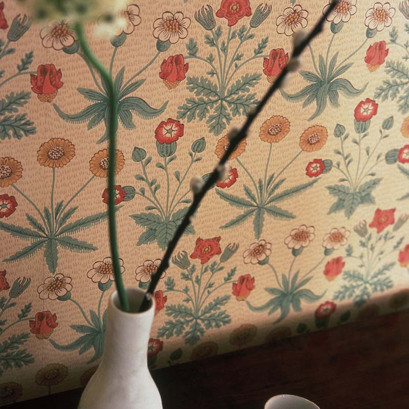 Daisy 216838 / WR8479-2【壁紙】 – MORRISWORLD.jp