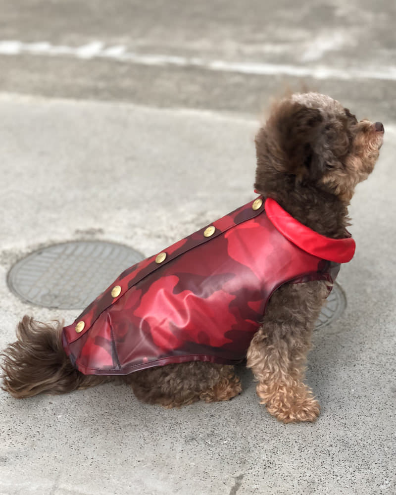 モンクレール MONDOG 犬用ダウン2WAY 在庫商品 - モンクレール(MONCLER