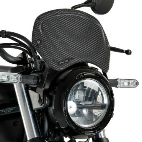 カワサキ エリミネーター ヘッドライトガード(ビレット/ブラック