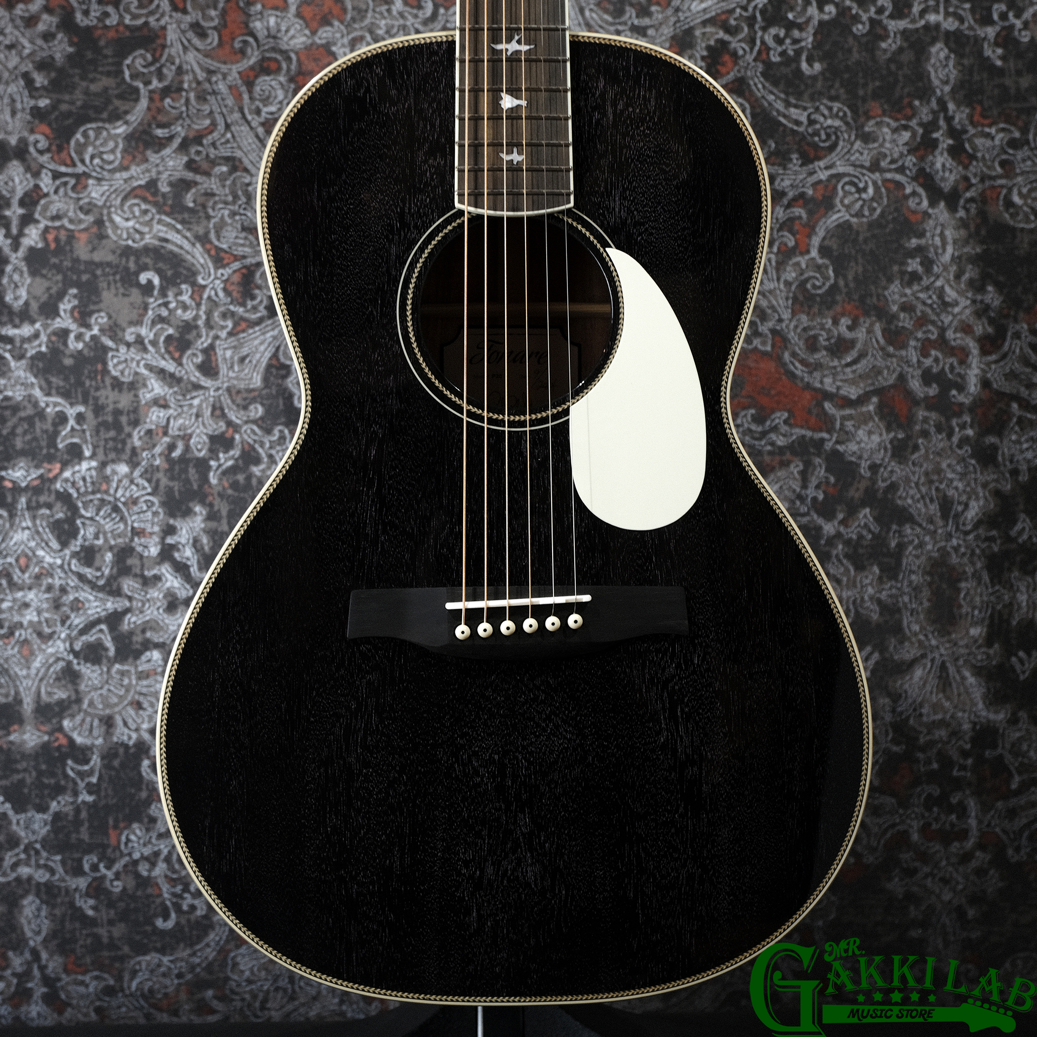 Paul Reed Smith(PRS) SE P20E Dog Hair w/ Fishman Presys VT Pickup