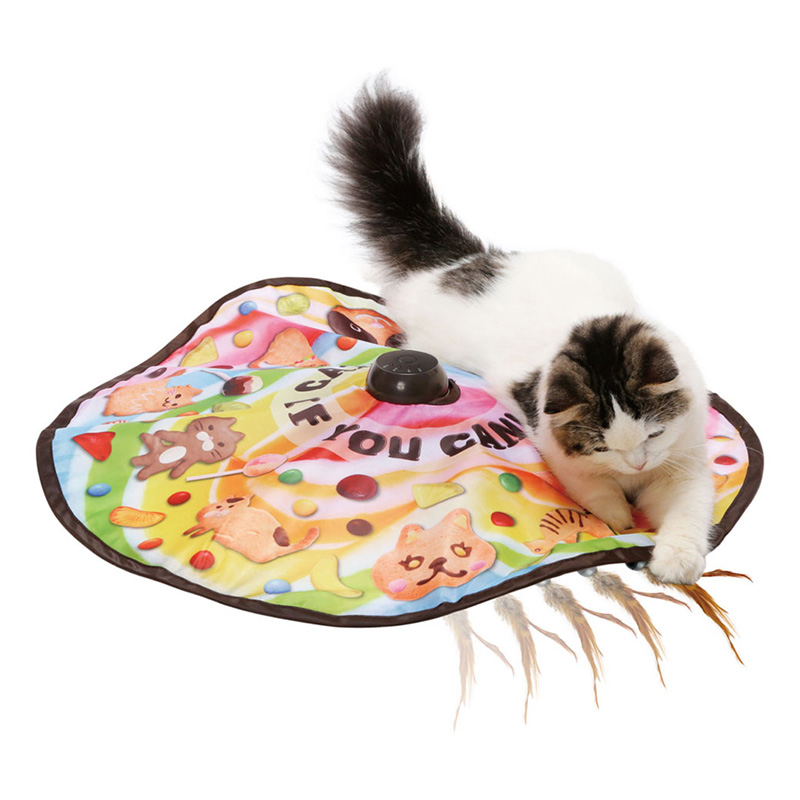 猫用おもちゃ キャッチ・ミー・イフ・ユー・キャン2 ｜ ミスター